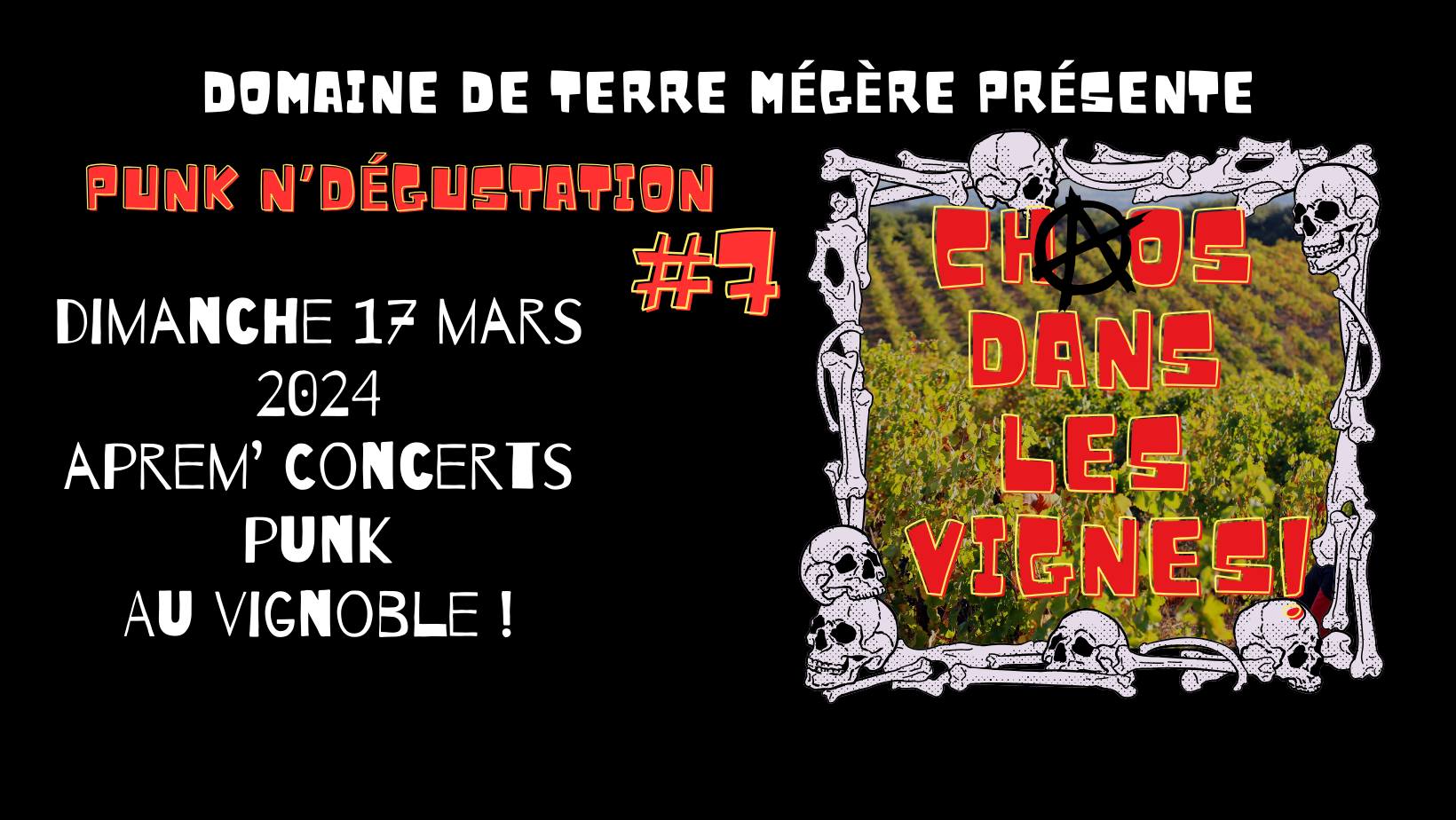 Punk n'dégustation#7: Chaos dans les vignes !